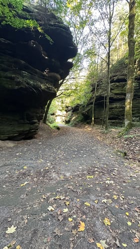 Rathewalde - Schwedenlöcher - Höllengrund
