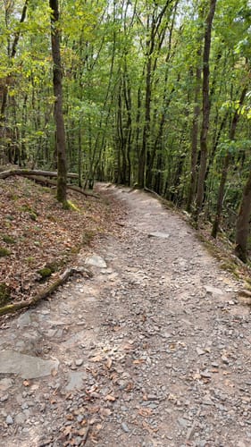Eltzer Burgpanorama (Traumpfad)