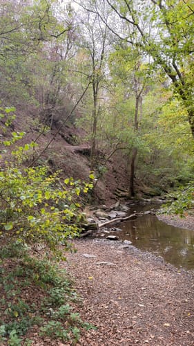 Eltzer Burgpanorama (Traumpfad)