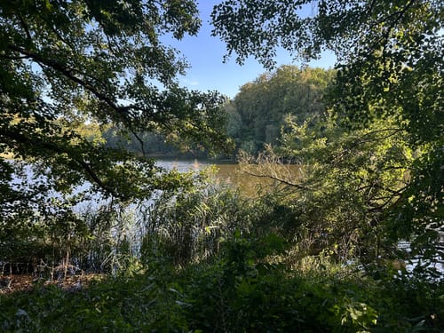 Trittauerfeld - Großensee - Mönchteich