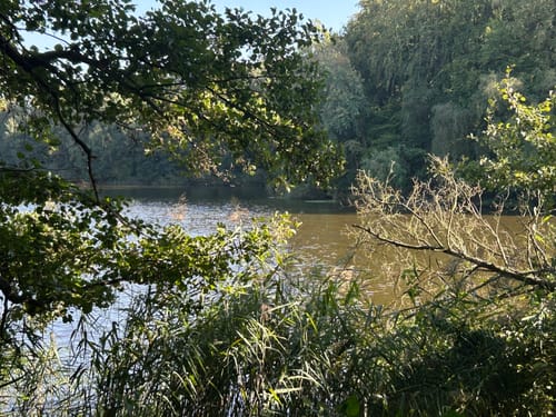 Trittauerfeld - Großensee - Mönchteich