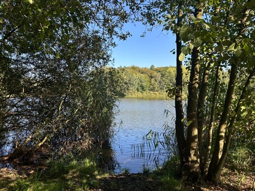 Trittauerfeld - Großensee - Mönchteich
