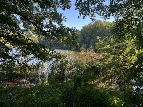 Trittauerfeld - Großensee - Mönchteich