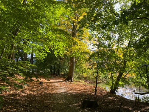 Wandlitzsee - Liepnitzsee