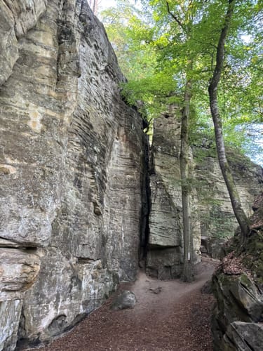 Teufelsschlucht und Keltenhöhle Rundweg