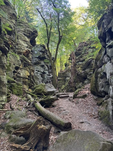 Teufelsschlucht und Keltenhöhle Rundweg