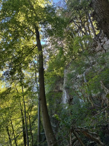 Wasserfallsteig bei Bad Urach