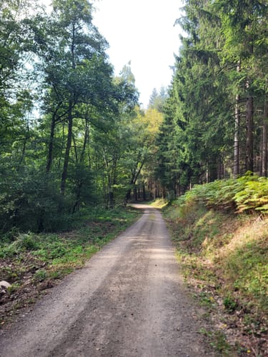 Hemmingway Trail  44