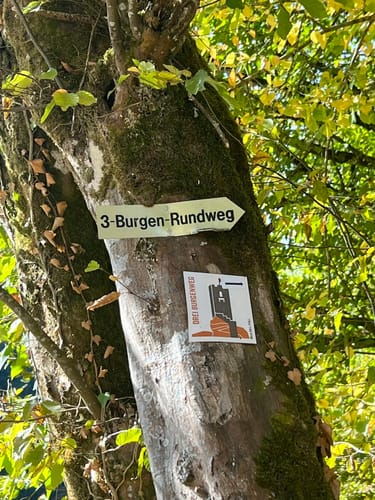 Erfenstein: Drei Burgenweg