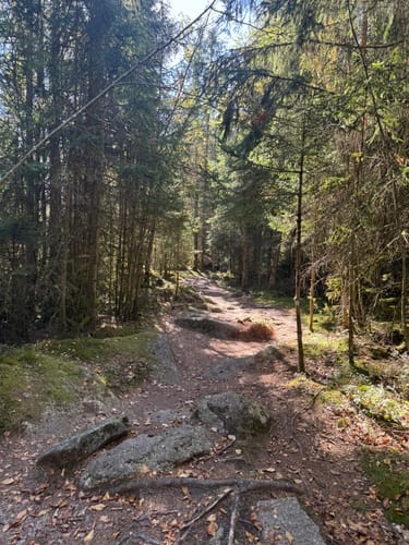 Felsenlabyrinth zur Kösseine