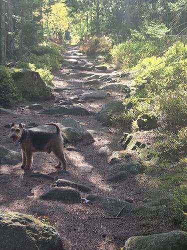 Rundweg Weißenstadt Nr. 3: Zum Rudolfstein und den Drei-Brüder-Felsen