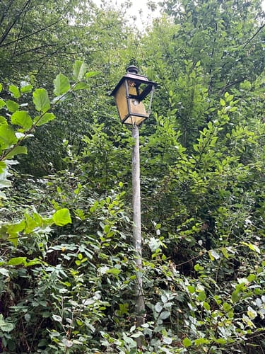 Erfenstein: Drei Burgenweg