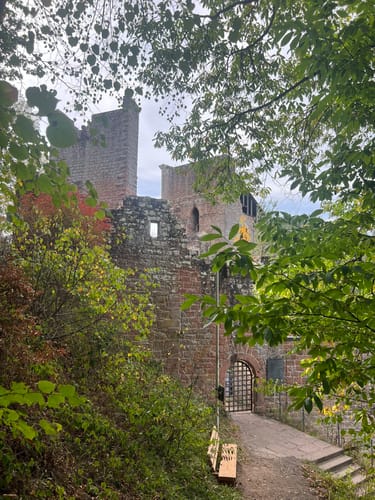 Erfenstein: Drei Burgenweg