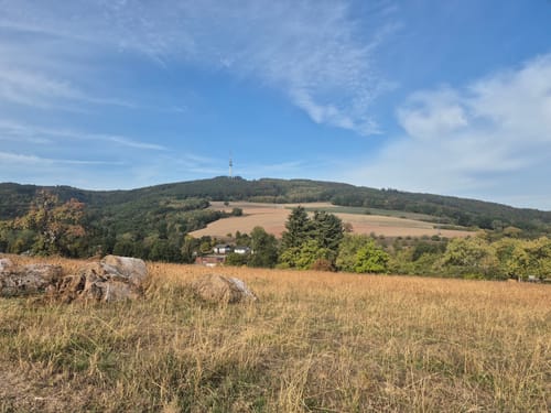 Remigius Abschnitt Rundweg via Sprengelburg