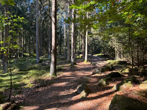 Felsenlabyrinth zur Kösseine