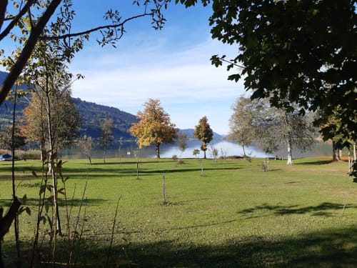 Vom Alpsee zur Siedelalpe