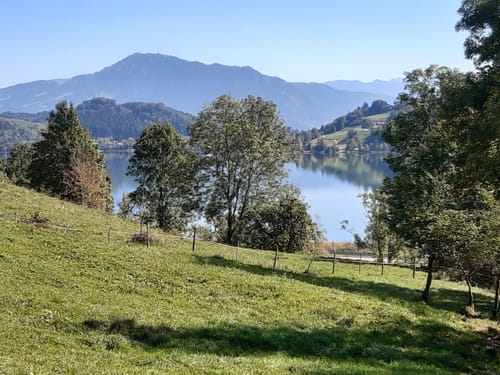Vom Alpsee zur Siedelalpe