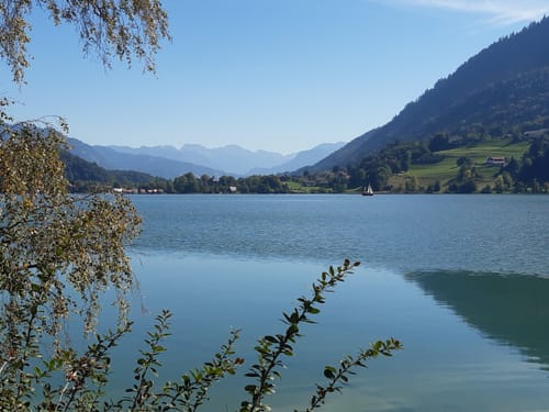 Vom Alpsee zur Siedelalpe