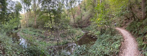Eltzer Burgpanorama (Traumpfad)