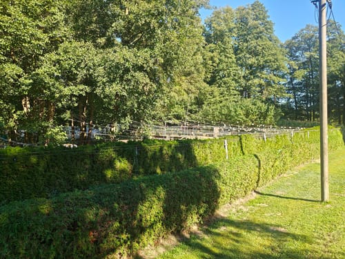 Fontaneweg