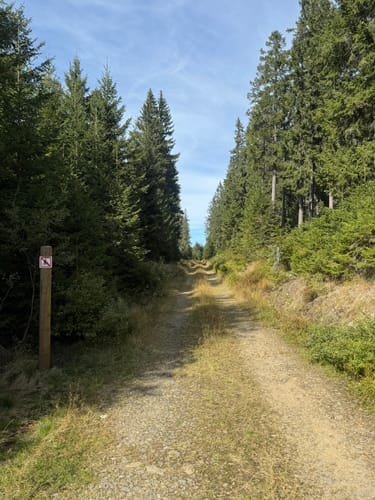 Kvilda - Pramen Vltavy