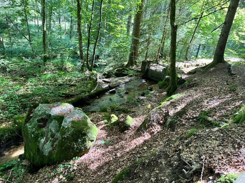 Hotzenpfad (Premiumwanderweg)