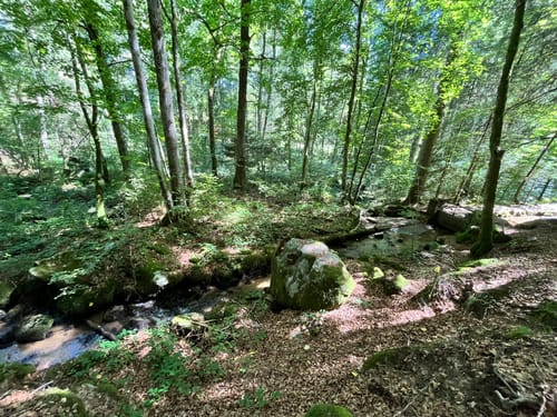 Hotzenpfad (Premiumwanderweg)