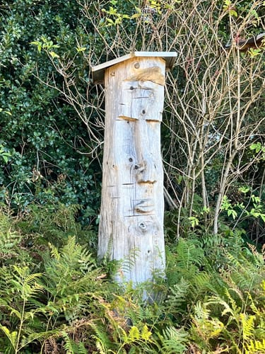 Hotzenpfad (Premiumwanderweg)