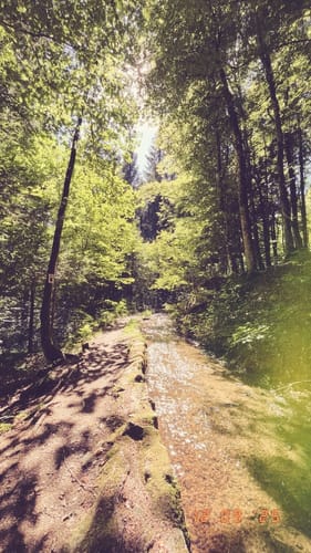 Hotzenpfad (Premiumwanderweg)