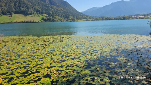 Familientraumtour Baumerlebnispfad (Schliersee)
