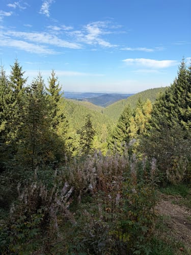 Rund um Hahnenklee