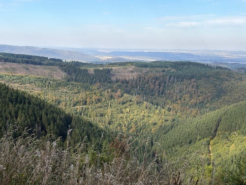 Rund um Hahnenklee