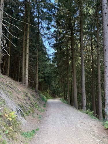 Rund um Hahnenklee