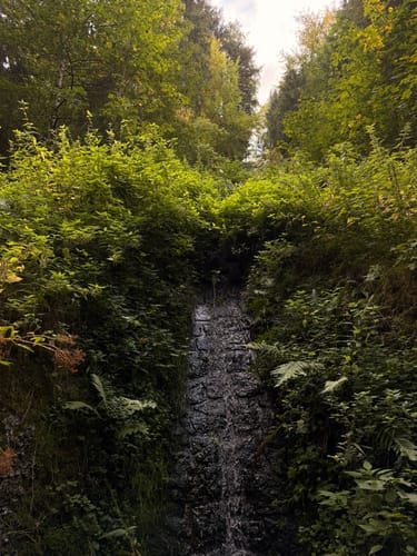 Der Ravennaschlucht Weg