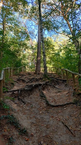 Havelhöhenweg