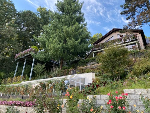 Wanderweg zum Geiersberg