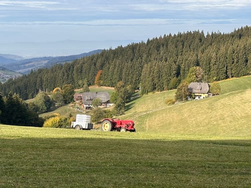 Sankt Peter - Kapfenberg - Zweribachfälle