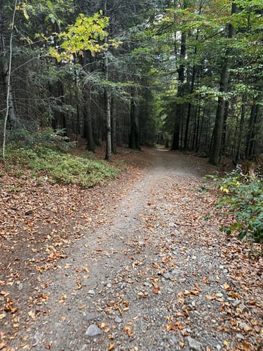 Sankt Peter - Kapfenberg - Zweribachfälle