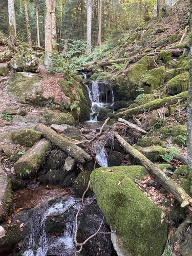 Sankt Peter - Kapfenberg - Zweribachfälle