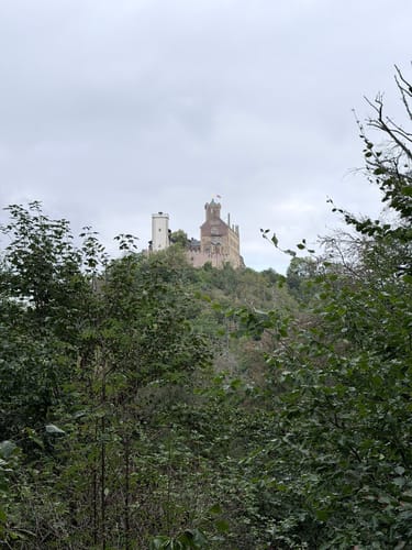 Im Teutoburgerwald über die Lavendelfelder und zur Falkenburg
