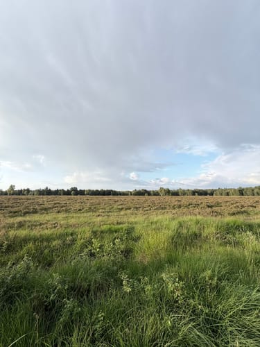 Dosenmoor und Einfelder Schanze