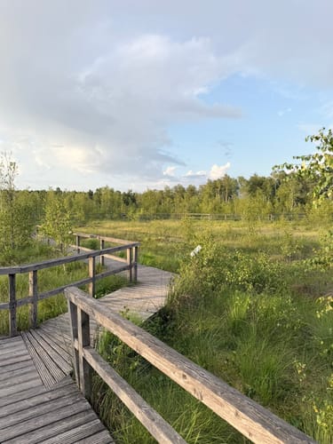 Dosenmoor und Einfelder Schanze