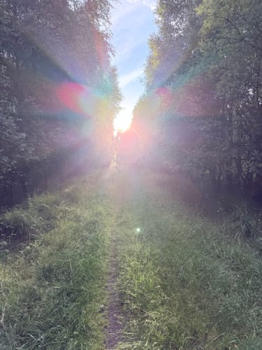 Dosenmoor und Einfelder Schanze