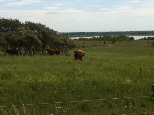 Naturlehrpfad Grabschützer See