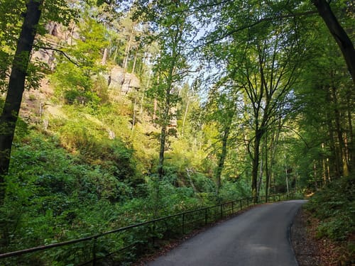 Von Wehlen zur Bastei