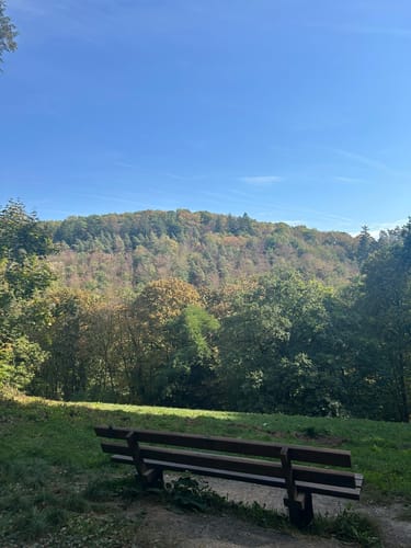 Philosophenweg - Heiligenbergweg - Odenwälder Weg