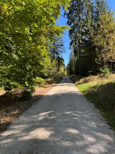 Felsenlabyrinth zur Kösseine