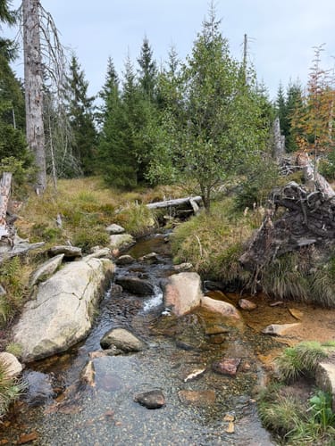 Rundwanderweg Oderteich