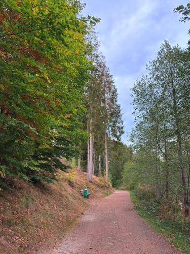 Titisee Rundweg