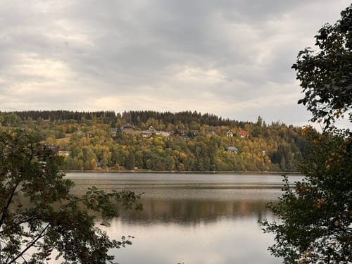 Titisee Rundweg